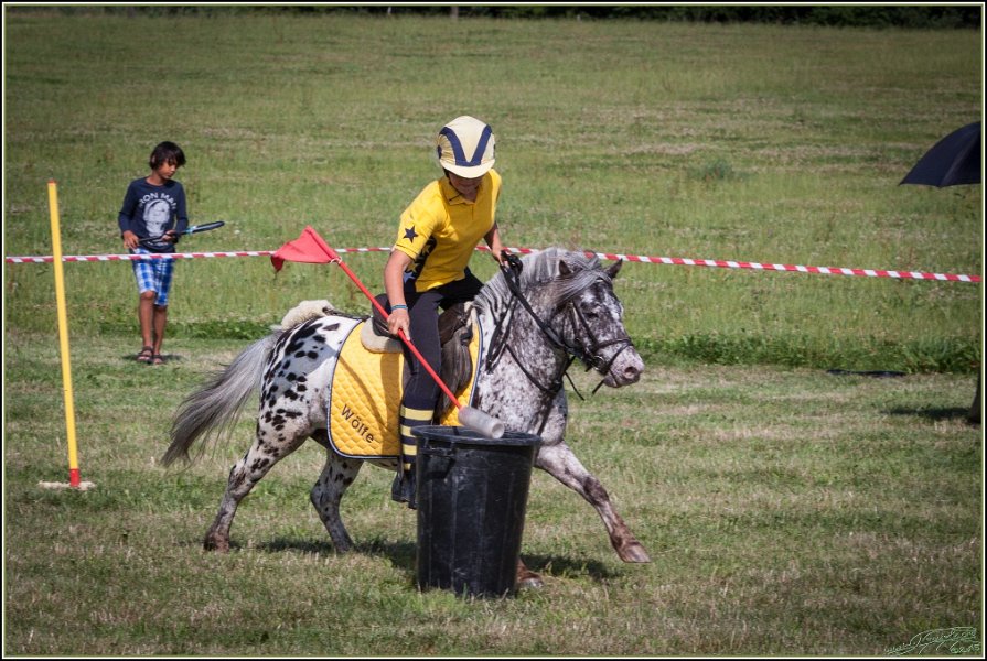 Mounted Games 283